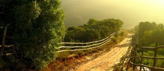 Pozo Profundo en Melosilla